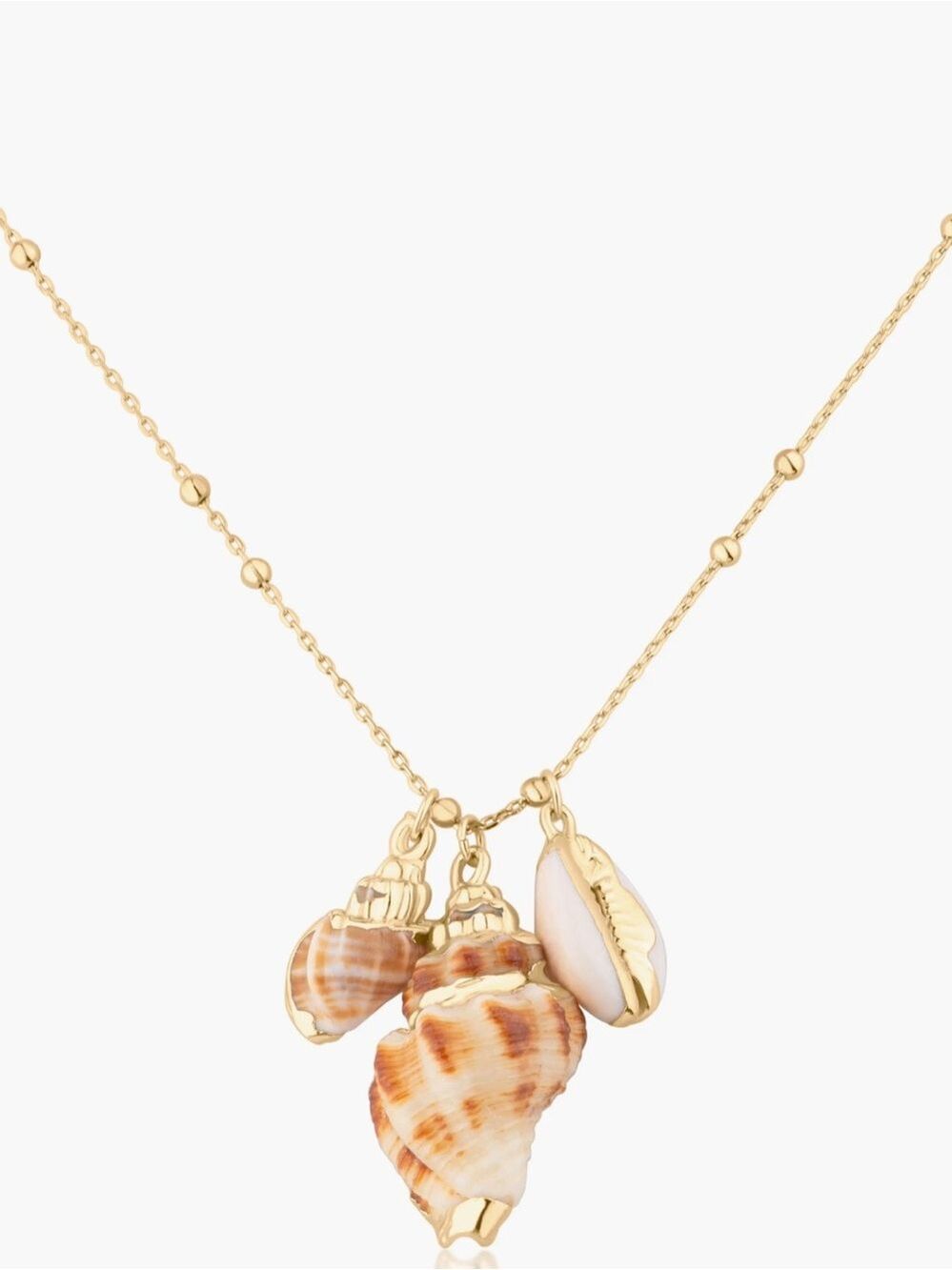 Jardin Sea Life Seashell Charm Necklace New